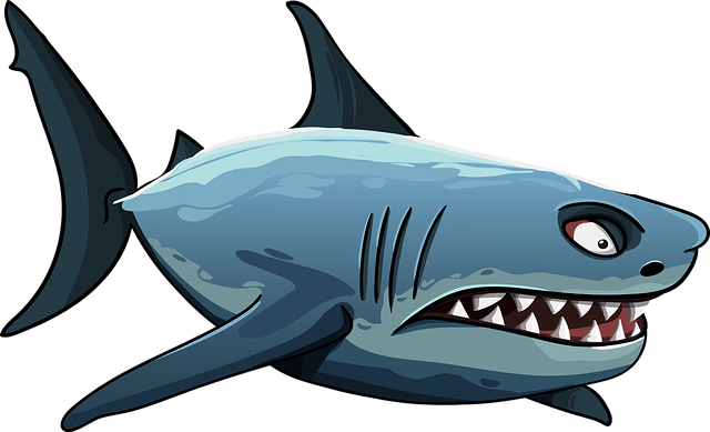 Shark